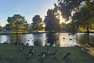 1328 Hillcrest Dr, Allen, TX 75002 - Photo 29