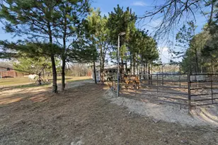 8261 County Rd 381, Tyler, TX 75708 - Photo 21