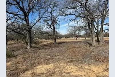Tbd Cr 2030 Lot 7, Glen Rose, TX 76043 - Photo 1