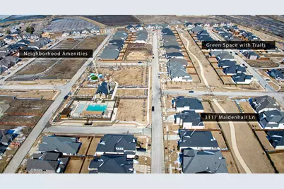 3117 Maidenhair Lane, Celina, TX 75009 - Photo 33