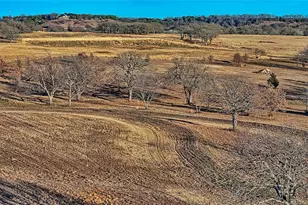 5800 US Hwy 82, Saint Jo, TX 76265 - Photo 1