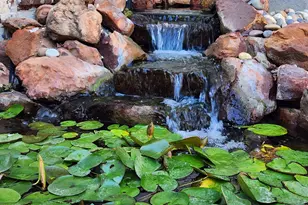 5436 Stone Canyon Dr, Frisco, TX 75034 - Photo 39