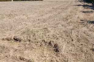 655 Ewing Rd, Ferris, TX 75125 - Photo 9