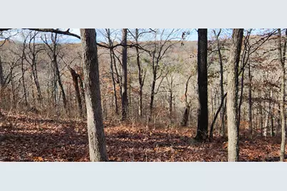 3405 State Hwy Jj, Branson, MO 65672 - Photo 19