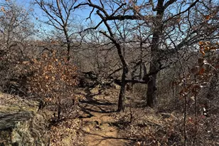 150 Timber Ridge Lake Rd, Graham, TX 76450 - Photo 19