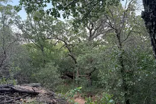 150 Timber Ridge Lake Rd, Graham, TX 76450 - Photo 21