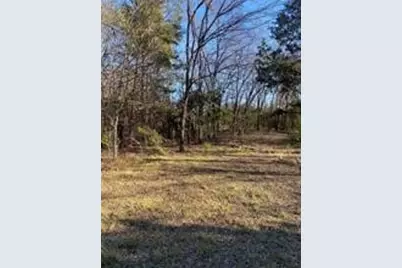 304 Vz County Road 2140, Wills Point, TX 75169 - Photo 3