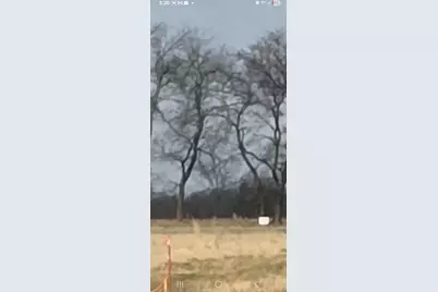 Lot 8 County Road 3512, Dike, TX 75482 - Photo 3