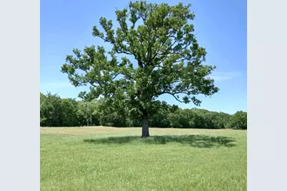 32 Acres County Road 2425, Como, TX 75431 - Photo 5