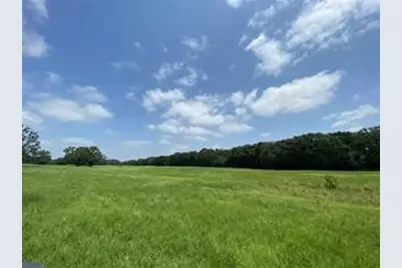 32 Acres County Road 2425, Como, TX 75431 - Photo 7
