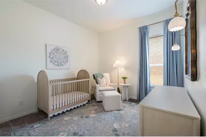 1310 Venezia Lane, Lewisville, TX 75077 - Photo 19