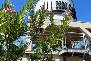 2220 Canton St, Dallas, TX 75201 - Photo 21