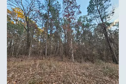 9557 Fm-726 S, Gilmer, TX 75645 - Photo 3