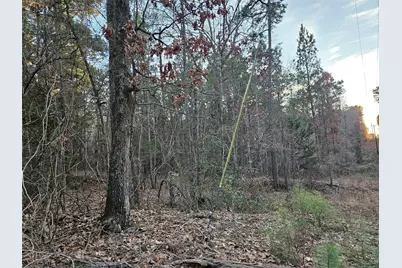 9557 Fm-726 S, Gilmer, TX 75645 - Photo 1