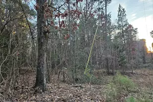 9557 Fm-726 S, Gilmer, TX 75645 - Photo 1