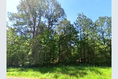 0 Highway 49, Jefferson, TX 75657 - Photo 3