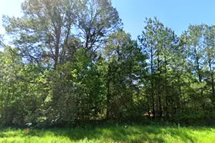 0 Hwy 49, Jefferson, TX 75657 - Photo 1