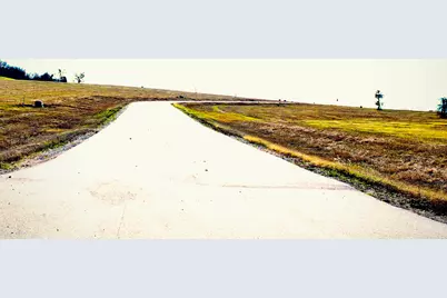 Lot 48 Triangle Shores, Corsicana, TX 75109 - Photo 5