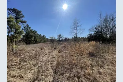 17584 Fm 1252, Winona, TX 75792 - Photo 9