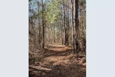 17584 Fm 1252, Winona, TX 75792 - Photo 7