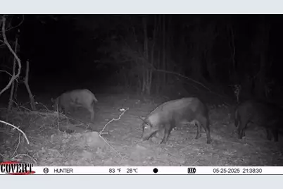 17584 Fm 1252, Winona, TX 75792 - Photo 21