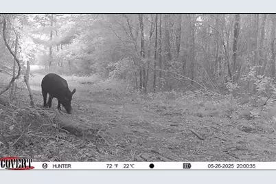 17584 Fm 1252, Winona, TX 75792 - Photo 23