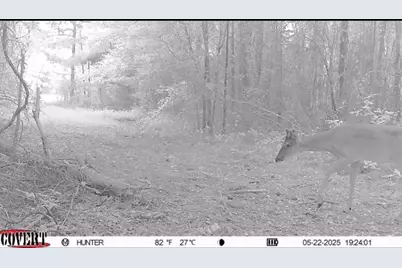 17584 Fm 1252, Winona, TX 75792 - Photo 19