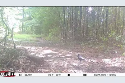 17584 Fm 1252, Winona, TX 75792 - Photo 25