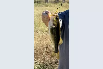 755 Fcr 601, Teague, TX 75860 - Photo 5