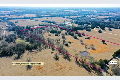 755 Fcr 601, Teague, TX 75860 - Photo 3