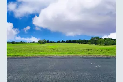 Lot 134 Lake Vista Drive, Streetman, TX 75859 - Photo 5