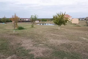 1755 Heifner Rd, Lucas, TX 75002 - Photo 33