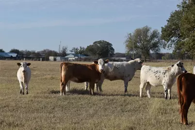 318 Fm 2488, Covington, TX 76636 - Photo 3