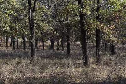 318 Fm 2488, Covington, TX 76636 - Photo 13