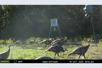 2523 County Road 218, Hico, TX 76457 - Photo 11