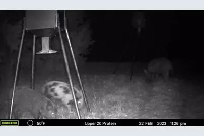 2523 County Road 218, Hico, TX 76457 - Photo 13