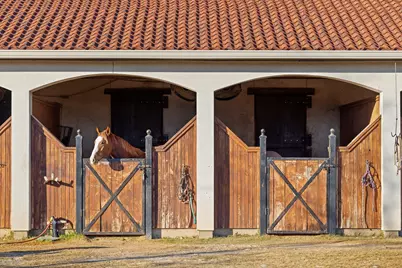 1715 S Joe Wilson Road, Ovilla, TX 75104 - Photo 21