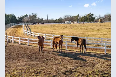 1715 S Joe Wilson Road, Ovilla, TX 75104 - Photo 15