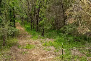 2523 Cr218, Hico, TX 76457 - Photo 27