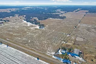 Tbd 100 Acres Fm-1396, Ivanhoe, TX 75447 - Photo 1