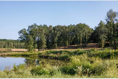 Tbd County Road 480, Lindale, TX 75771 - Photo 5