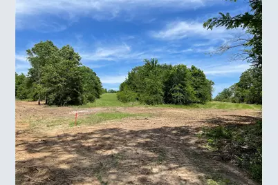 Tract 3 County Road 295, Oakwood, TX 75855 - Photo 5