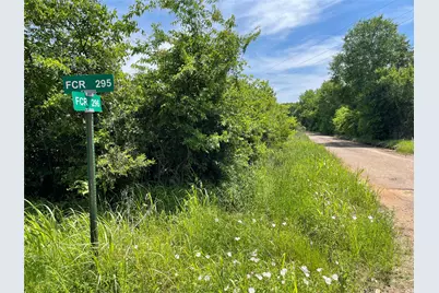 Tract 3 County Road 295, Oakwood, TX 75855 - Photo 3