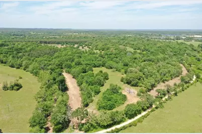 Tract 3 County Road 295, Oakwood, TX 75855 - Photo 9