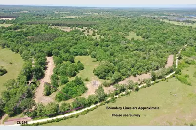 Tract 3 County Road 295, Oakwood, TX 75855 - Photo 1