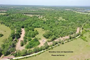 Tract 3 County Road 295, Oakwood, TX 75855 - Photo 1