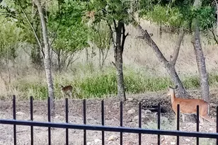 1535 Bent Creek Dr, Cleburne, TX 76033 - Photo 19