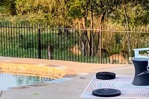 1535 Bent Creek Dr, Cleburne, TX 76033 - Photo 15