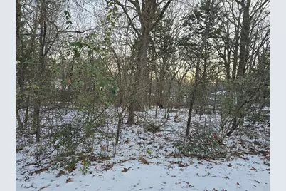 Lot 750 Doe Run Road, Gun Barrel City, TX 75156 - Photo 7