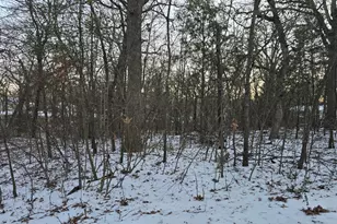 Lot 752 Doe Run Rd, Gun Barrel City, TX 75156 - Photo 1